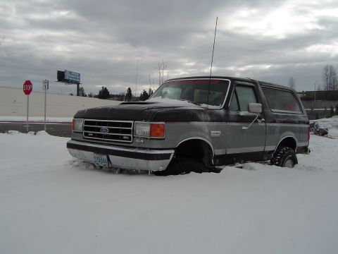 1989 Ford Bronco - Again