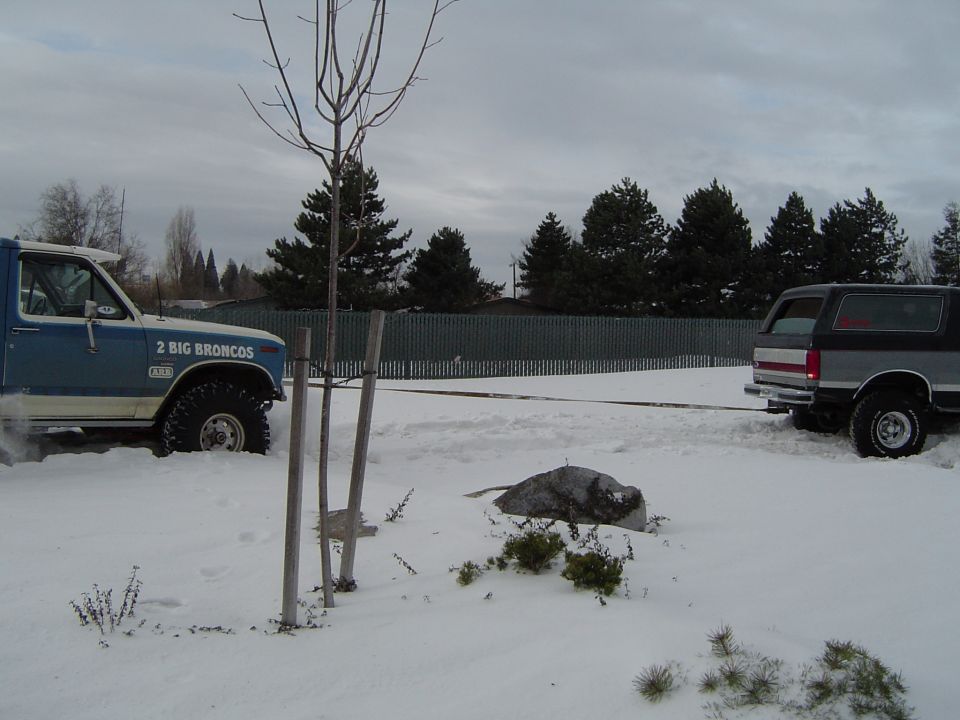 Two trucks in snowy yard, one lifted with 2 BIG BRONCOS door text