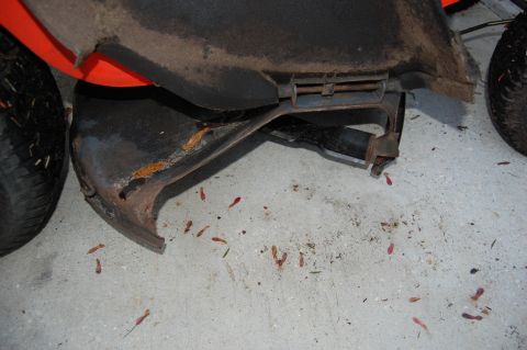 2006 Honda RANCHER