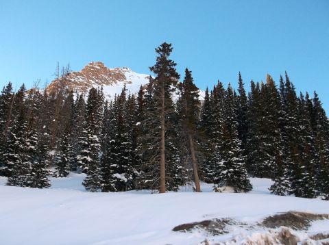 2009 Kenworth T800 - A winter scene shows a snow-covered mountain range towering over a forest of pine trees.