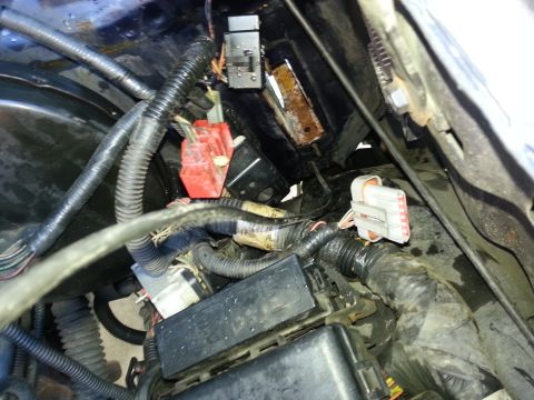 1994 Ford Bronco - This image shows a complex network of wires and electrical components within a vehicle's engine compartment.