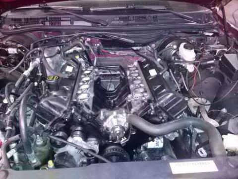 2004 Ford Crown Victoria - The engine bay of a 2004 Ford Crown Victoria is visible, displaying the V8 engine with its components.
