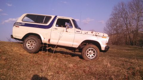 1979 Ford Bronco - White Ford Bronco with blue stripe on side, parked on grassy hill under a blue sky.