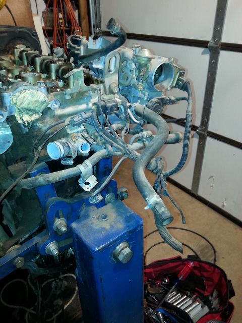 1991 Ford Festiva - Engine assembly on a blue stand, with hoses and wiring visible.