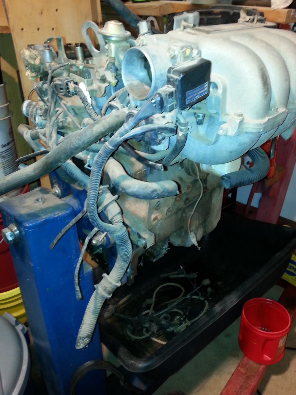 Engine assembly on a blue stand, with hoses and wiring attached. A black drain pan sits below