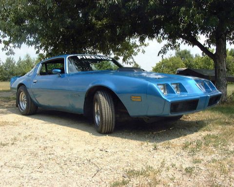 1985 Ford F-150 - A blue coupe with a prominent hood scoop and "FIREBIRD" text on the windshield sits on a dirt lot under a tree.