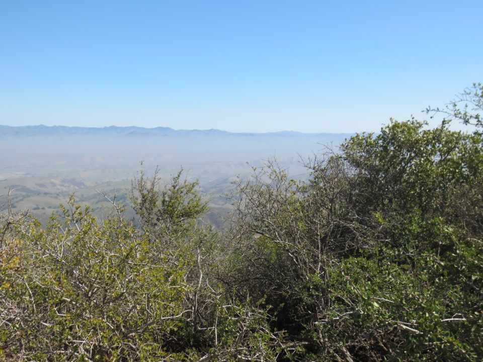 Overcast sky above rolling hills and distant mountains, viewed through foreground foliage