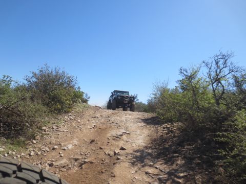 1989 Ford Bronco - A Jeep Wrangler navigates a rough, rocky path under a clear blue sky, surrounded by dry brush and trees.