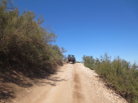 1989 Ford Bronco - Two off-road vehicles navigate a dusty trail surrounded by arid vegetation under a bright blue sky.