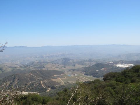 1989 Ford Bronco - A wide view of a valley with vineyards and hills under a clear blue sky.