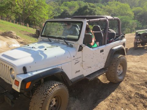 1989 Ford Bronco - Two Jeeps navigate a dusty, off-road trail surrounded by trees and hills.