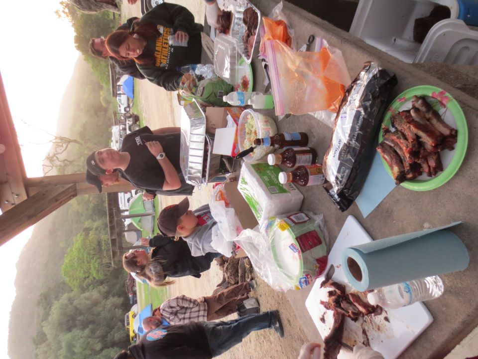 Picnic scene with people gathered around a table laden with food, including ribs and condiments