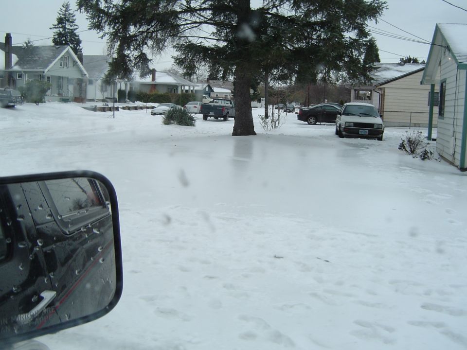 See the shiny yard?