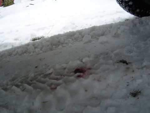 1989 Ford Bronco - It was dripping this much everywhere i went in the snow