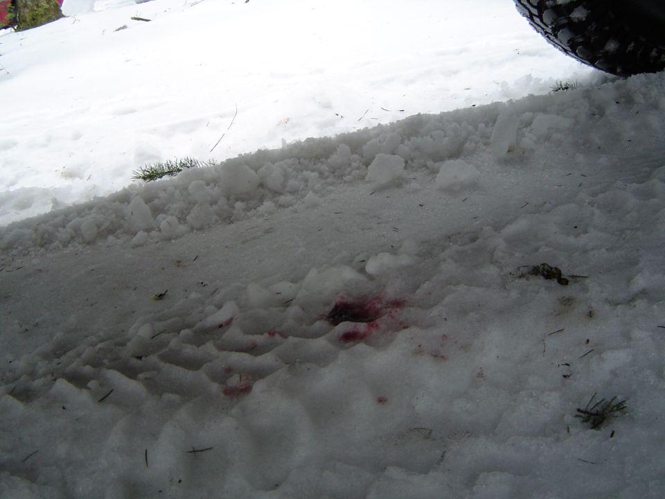 It was dripping this much everywhere i went in the snow