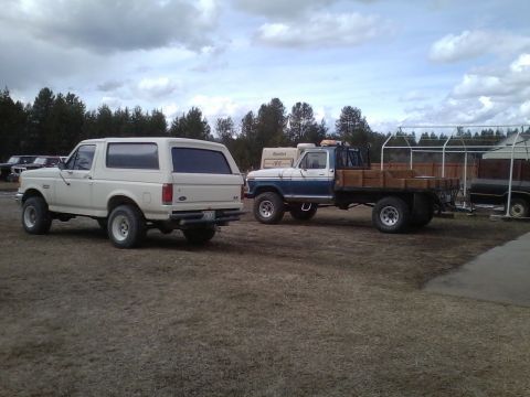 1973 Ford F-250 - A white Ford Bronco is parked next to a blue and white flatbed truck.