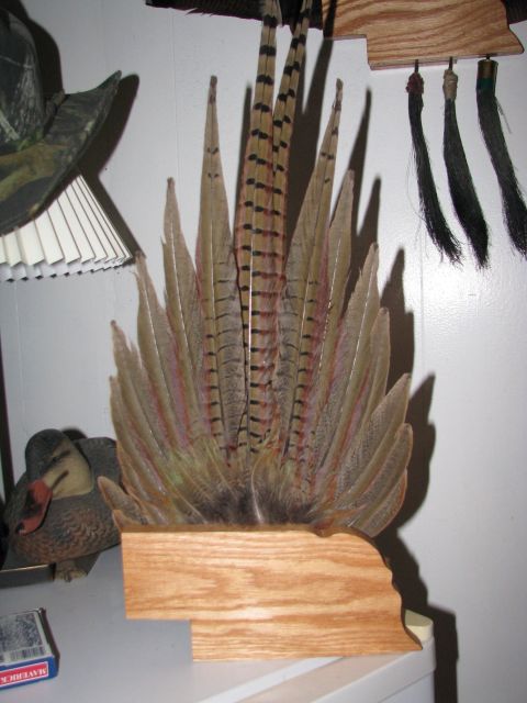 2010 Champion 188 - Decorative pheasant feathers and a duck decoy are displayed on a shelf.