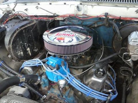 1979 Ford Bronco photo