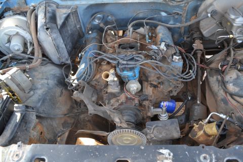 1981 Ford F-250 - Close-up view of a V8 engine compartment, showing the engine block, distributor, and various hoses and wires.