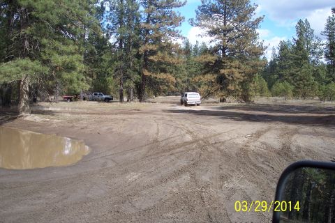 1990 Ford Bronco - Multiple vehicles are parked in a wooded area with a muddy puddle and tire tracks on the ground.