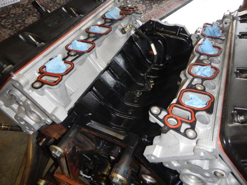 2003 Ford Crown Victoria - Detailed close-up of a V8 engine valley showing red gaskets on both cylinder heads and taped intake runners.