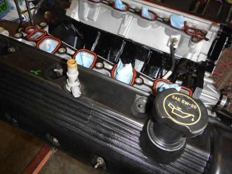 2003 Ford Crown Victoria - black valve cover on a V8 engine with a SAE 5W-20 oil cap and red gaskets visible along the head.