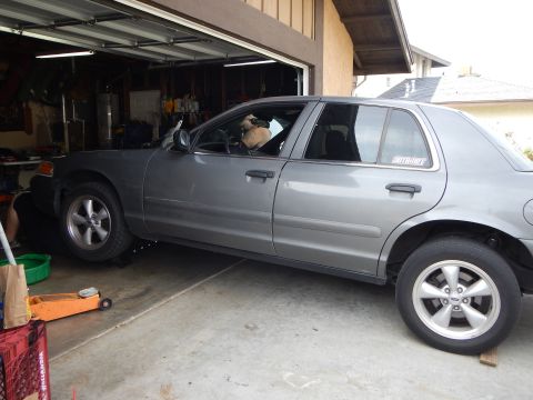 2003 Ford Crown Victoria - gray Ford Crown Victoria sedan sits in a garage with a dog looking out the rear window and a floor jack beside the front wheel.