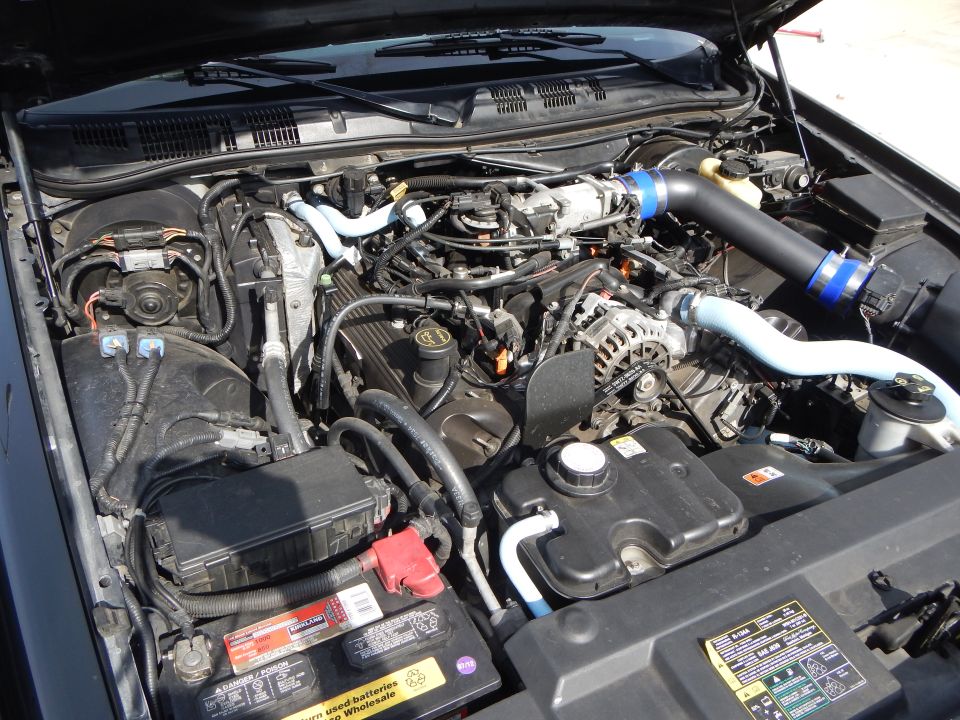 Engine bay of a vehicle with blue aftermarket intake tubing and alternator visible
