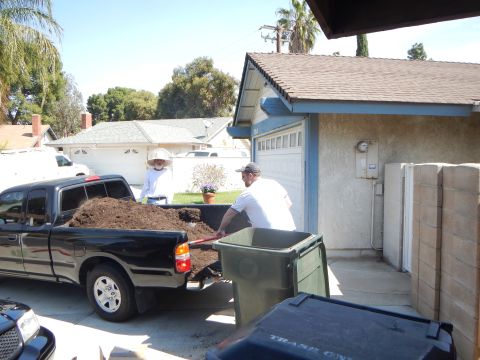 2003 Ford Crown Victoria - Two men shovel dark mulch from the bed of a black pickup truck into a green bin in a residential driveway.