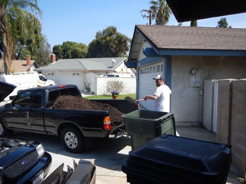 2003 Ford Crown Victoria - man in a white shirt rakes dark mulch from a black pickup bed into a green bin in a sunny driveway.