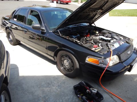 2003 Ford Crown Victoria - black Ford Crown Victoria sedan sits in a driveway with its hood open and an open toolbox on the ground.