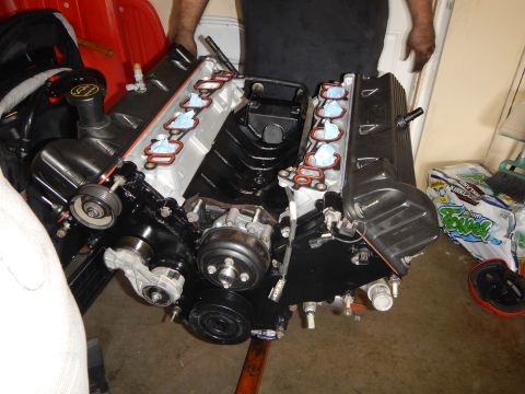 2003 Ford Crown Victoria - Close-up of a SOHC V8 engine with black valve covers, accessory belt pulleys and exposed intake ports with new gaskets.