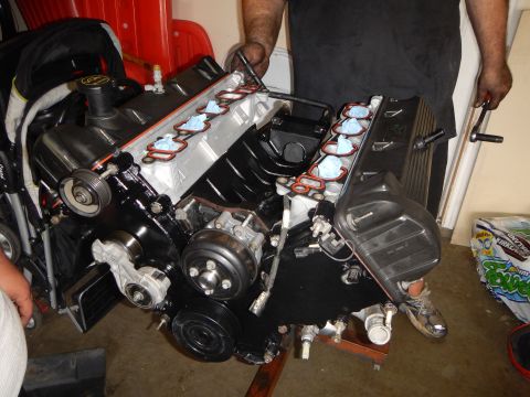 2003 Ford Crown Victoria - freshly rebuilt SOHC V8 engine with clean black valve covers, accessory pulleys and new orange intake gaskets installed.
