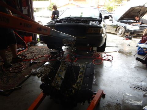 2003 Ford Crown Victoria - dark sedan with its hood up sits behind an engine hoist suspending a V8 engine, with a second car visible at right in the garage.