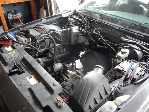 2003 Ford Crown Victoria - largely emptied engine bay of a vehicle showing the wiring harness, brake master cylinder reservoir and black air intake box.