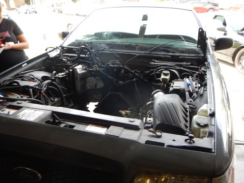2003 Ford Crown Victoria - black Ford with its hood raised reveals the engine bay; a Ford oval shows on the lower grille and a person stands at left.