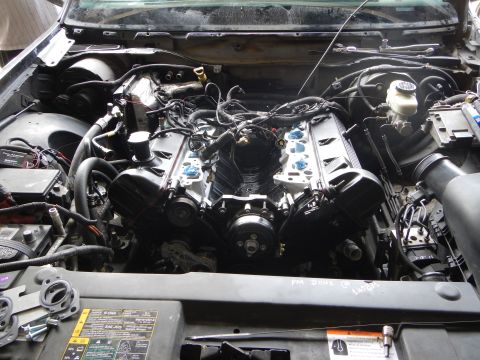2003 Ford Crown Victoria - V8 engine sits installed in a vehicle's engine bay with valve covers, intake and accessory belt visible.