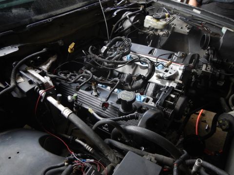 2003 Ford Crown Victoria - V8 engine with ribbed valve covers and oil-fill cap sits in an engine bay alongside the brake booster and wiring.