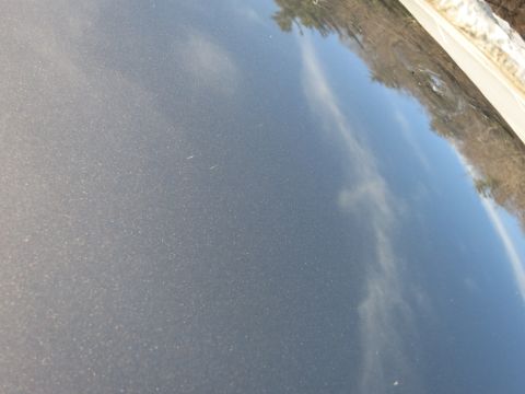2001 Ford Crown Victoria - Close-up of a grey car hood showing reflections of the surrounding environment.