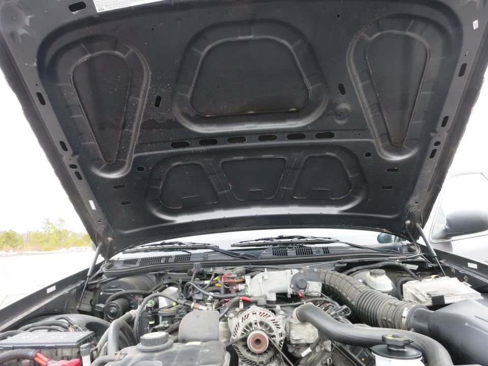 Engine bay of a 2001 Ford Crown Victoria, hood is open showing the engine components and under the hood insulation