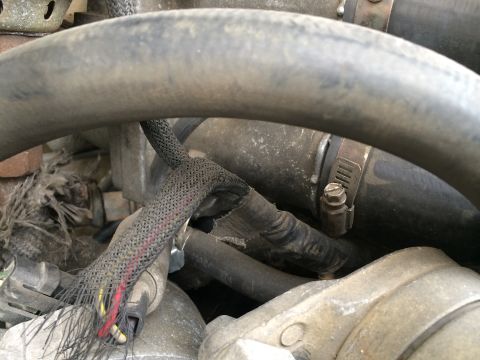1991 Ford F-150 - Close-up view of engine bay components, including hoses and damaged wiring.