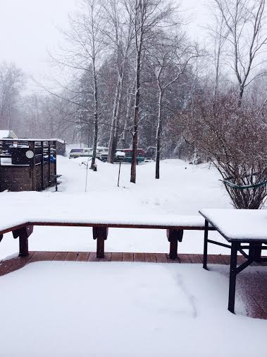 1978 Ford Bronco - Multiple vehicles are visible in a snowy backyard during a winter storm.