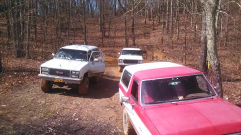1979 Ford Bronco - Several SUVs navigate a wooded trail on a sunny day.