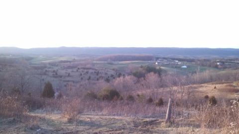 1979 Ford Bronco - A wide view of a rural landscape with rolling hills, scattered trees, and distant houses under a bright sky.