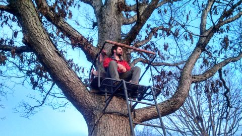1979 Ford Bronco - Man sits in a tree stand on a large oak tree against a blue sky.