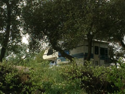 1996 Ford C-350 (Centurion Conversions) - A motorhome is partially obscured by trees and green foliage during an outdoor excursion.