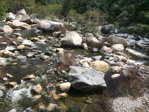 1996 Ford C-350 (Centurion Conversions) - A natural scene of a river flowing over rocks, surrounded by trees and vegetation.