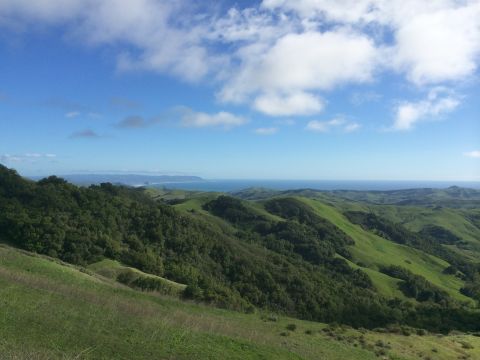 1996 Ford C-350 (Centurion Conversions) - A vast landscape of green hills stretches towards the blue ocean on a clear day with scattered clouds.
