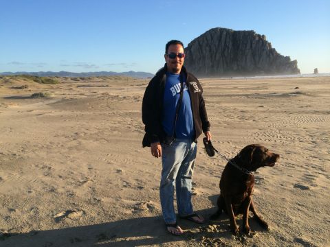 1996 Ford C-350 (Centurion Conversions) - A man and his dog enjoy a sunny day on the beach, with a prominent rock formation overlooking the ocean.