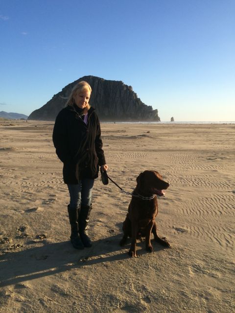 1996 Ford C-350 (Centurion Conversions) - A woman and her dog enjoy a walk on the beach with a large rock formation in the distance.